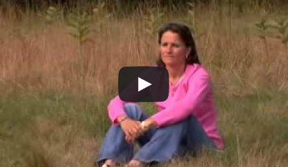 screenshot of video.